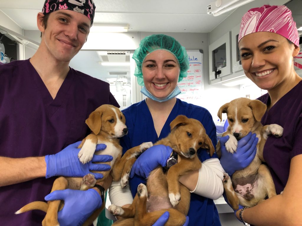 UT College of Veterinary Medicine Students and Staff